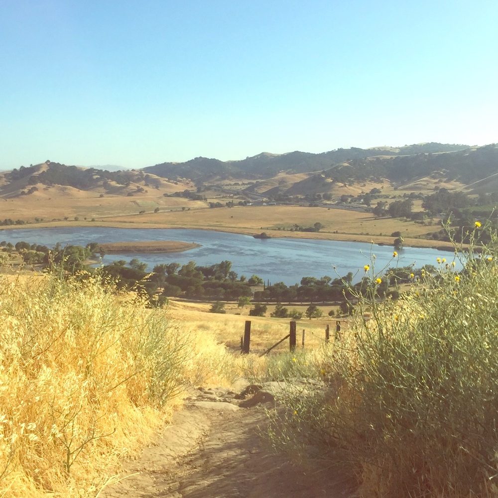 Meet your Posher, Mikal